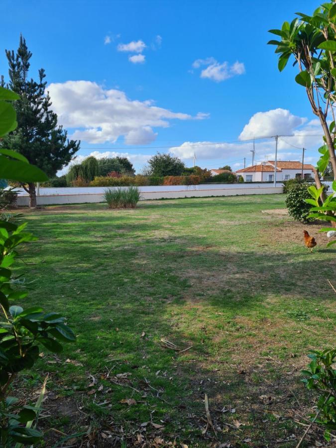 Ty Grain De Sel : Logement Privatif Avec Piscine, Jardin Et Patio Chauvé Exteriör bild