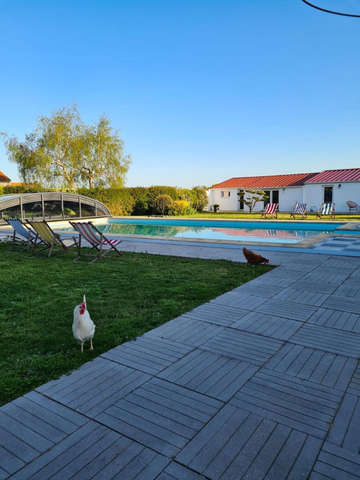 Ty Grain De Sel : Logement Privatif Avec Piscine, Jardin Et Patio Chauvé Exteriör bild